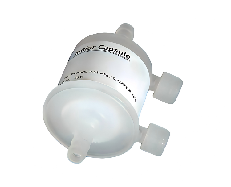 Capsule Filter (2)